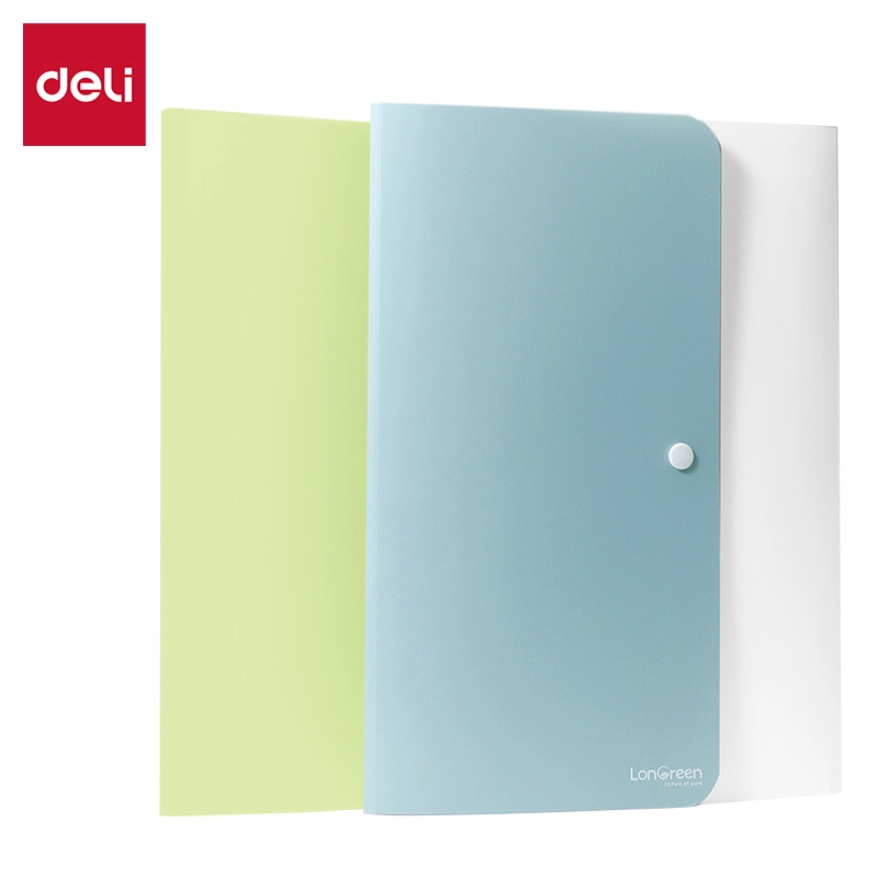 deli-ef626-expanding-file-1