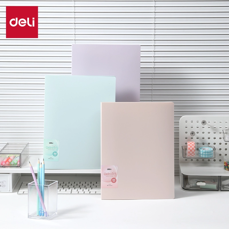 Deli-EF919 Display Book