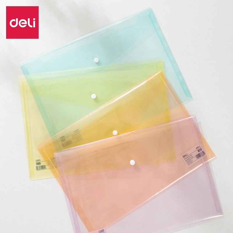 Deli-EF766 File Bag